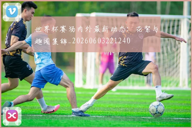 世界杯赛场内外最新动态:花絮与趣闻集锦_20260603221240
