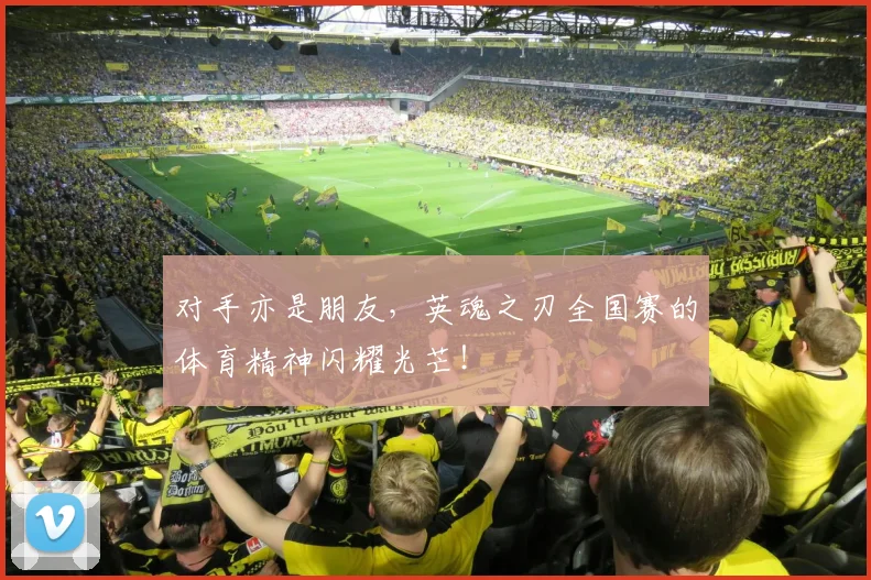 对手亦是朋友,英魂之刃全国赛的体育精神闪耀光芒!
