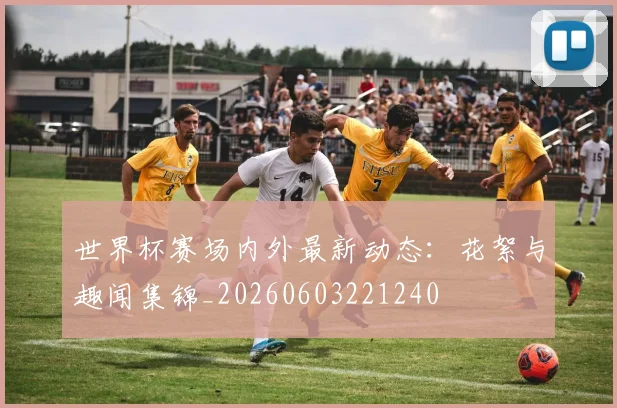 世界杯赛场内外最新动态：花絮与趣闻集锦_20260603221240