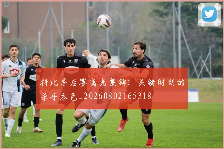 科比季后赛高光集锦：关键时刻的杀手本色_20260802165318