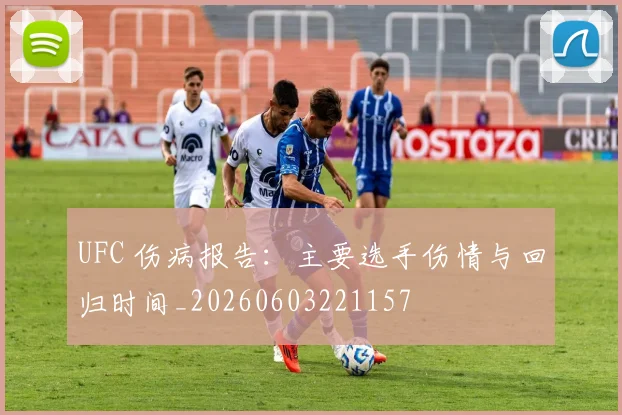 UFC 伤病报告：主要选手伤情与回归时间_20260603221157