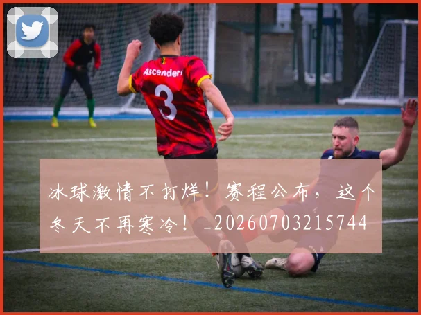 冰球激情不打烊!赛程公布,这个冬天不再寒冷!_20260703215744